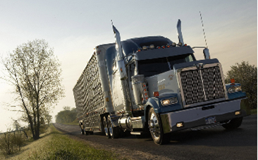 安大略省G1驾照考试笔试全攻略-加拿大驾照考试题库